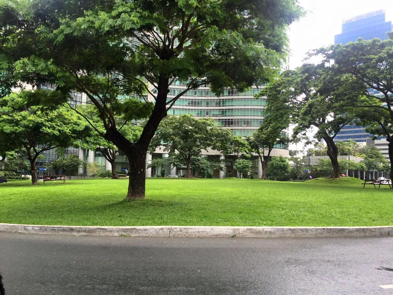 De Jesus Oval Park and the Growth of Recreational Tourism in Bonifacio Global City