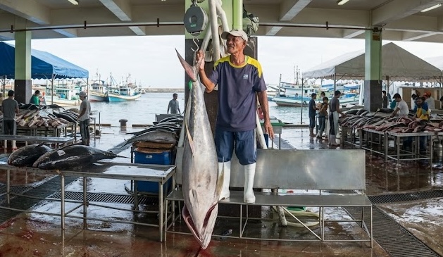 Freshly caught tuna in the morning.