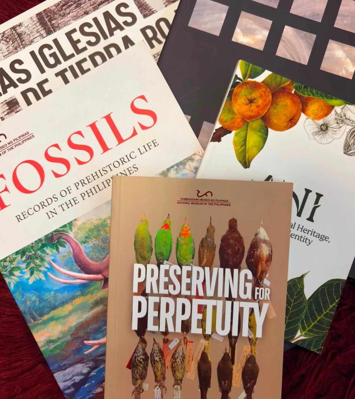 Gen Z, This Is For You: 5 Books Bringing PH Heritage Closer