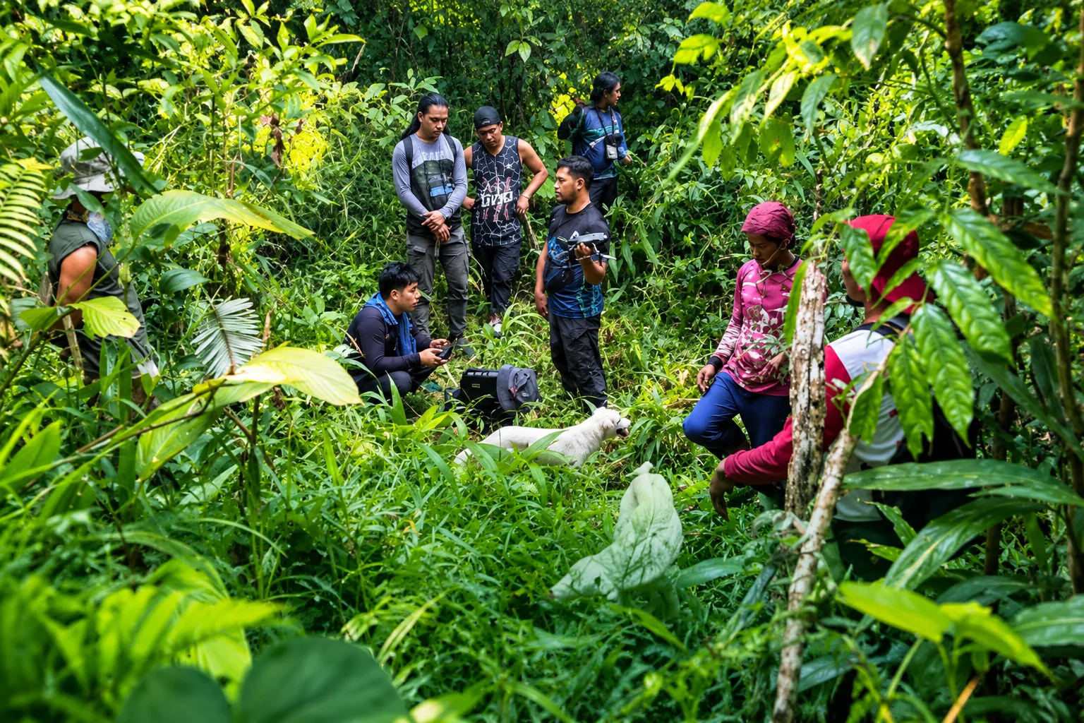Photo Courtesy: DENR VIII - Eastern Visayas