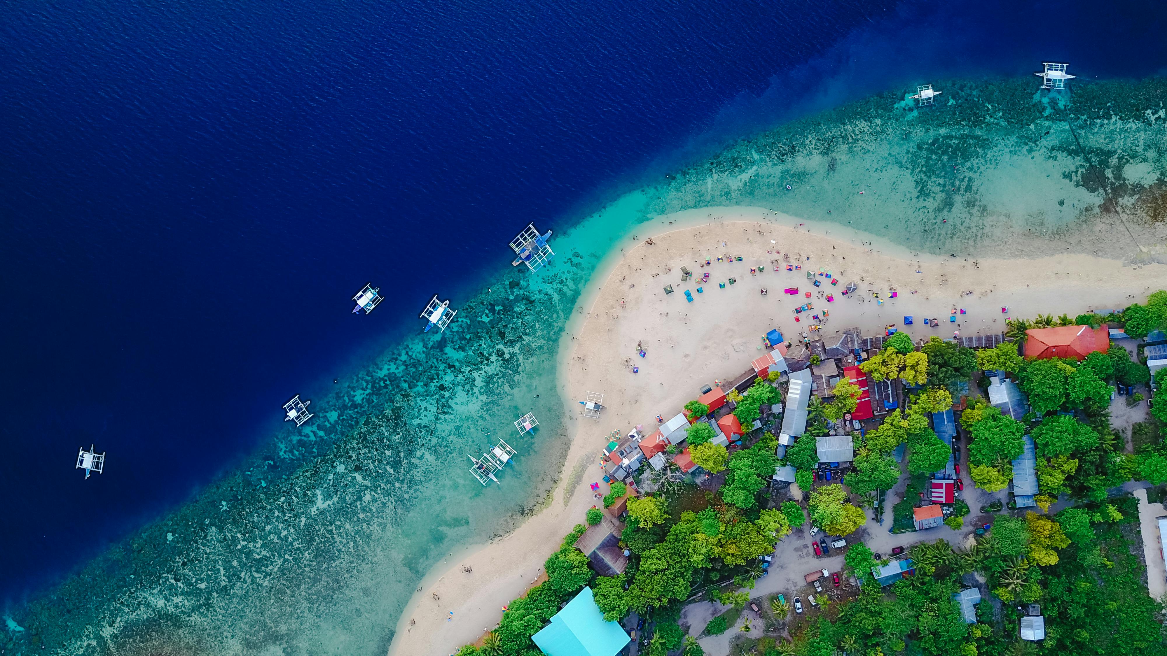 The Southern Spectacle: Discovering the Ethereal Beauty of Oslob