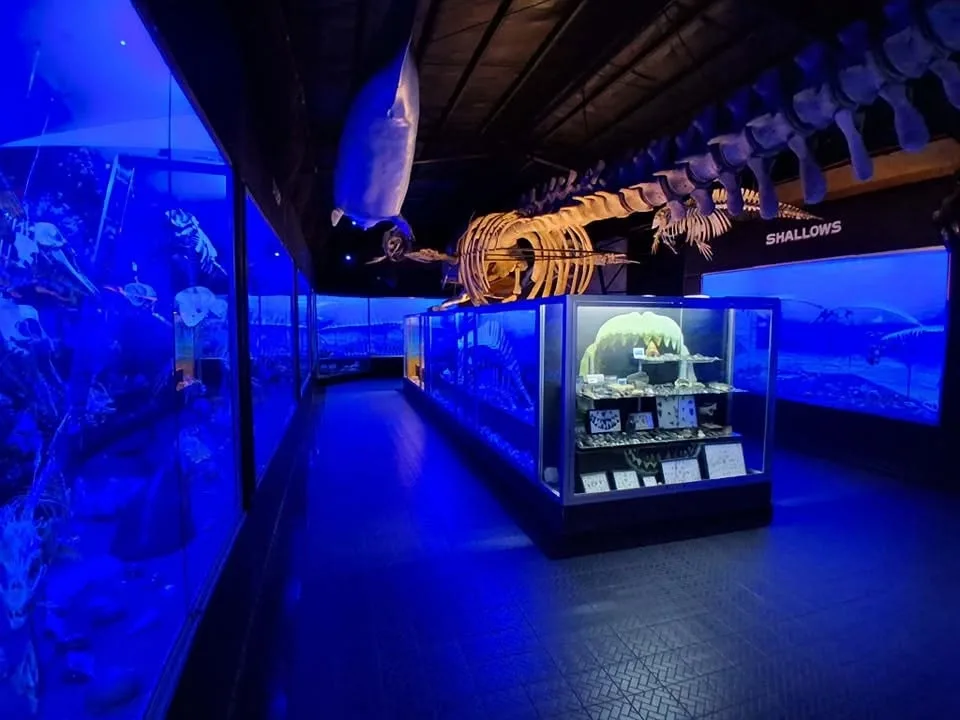 PHOTO COURTESY:" D' Bone Collector Museum Inc.