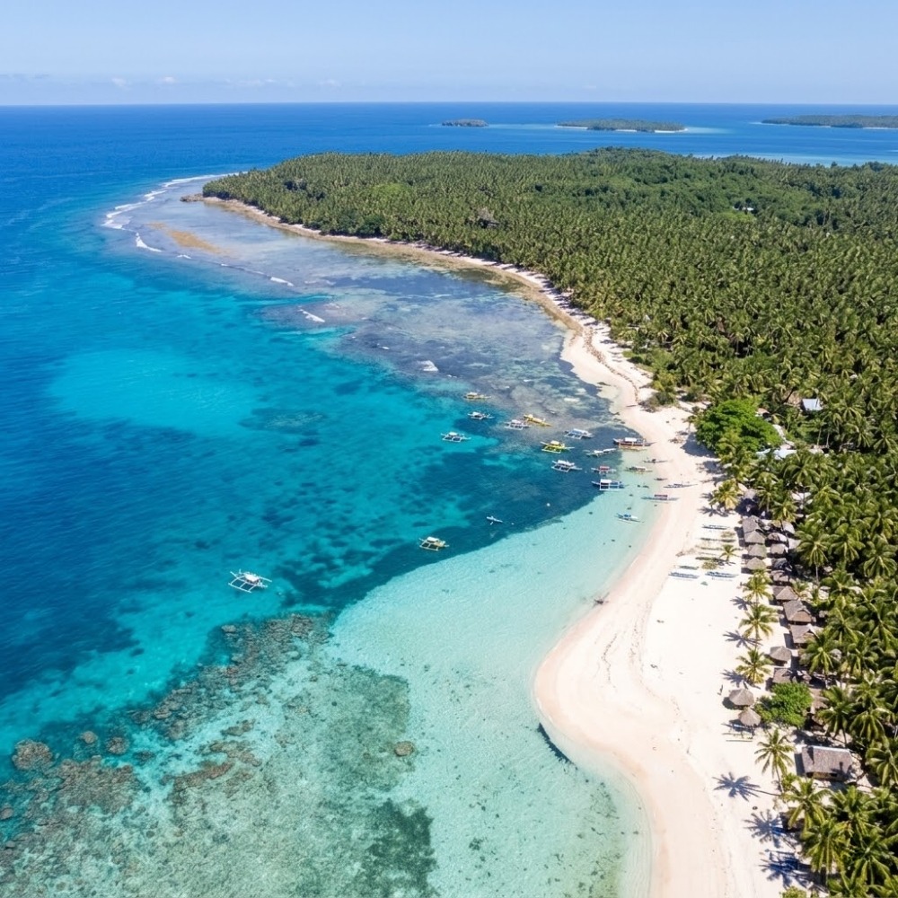 Coastal Leisure and Nature Tourism