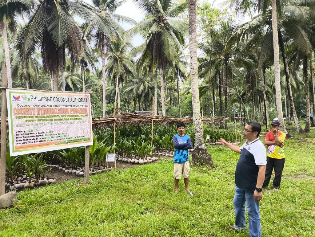 Courtesy Photo: PIA / By Orlan Jabagat | Agriculture & Economic Growth