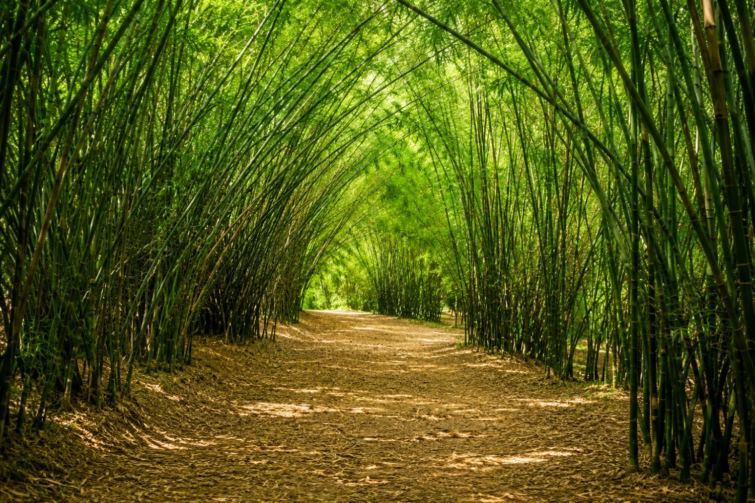 Nature & Photography