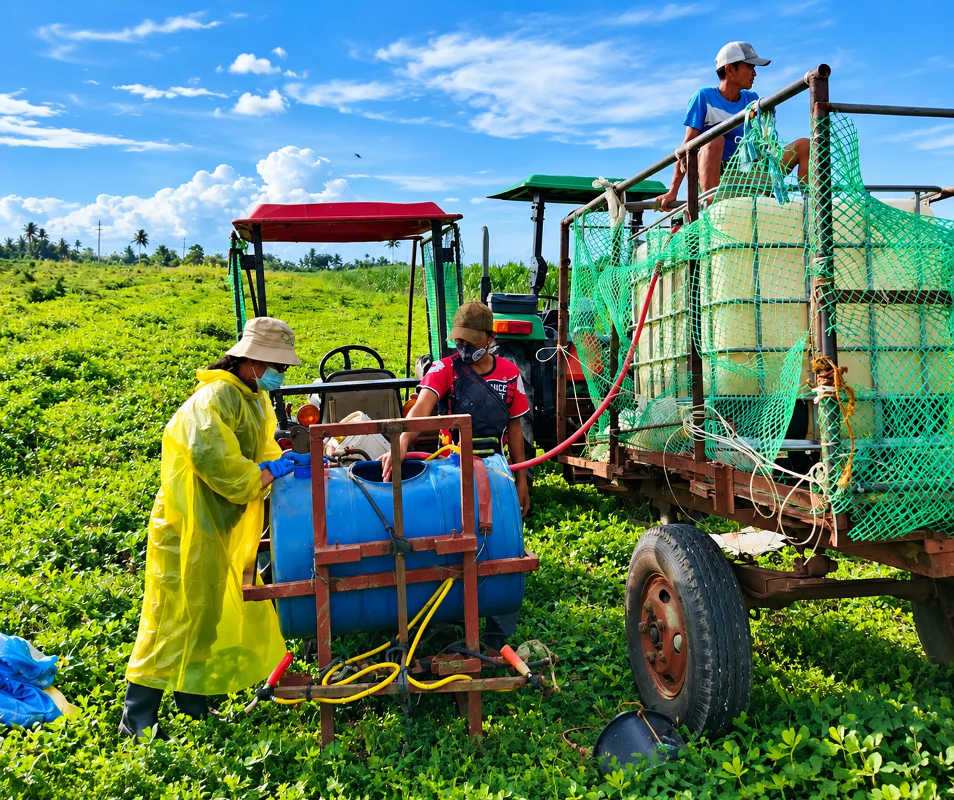 DA-RCPC 8 Protects Albuera Sugarcane Fields with Eco-Friendly Biocontrol Solution
