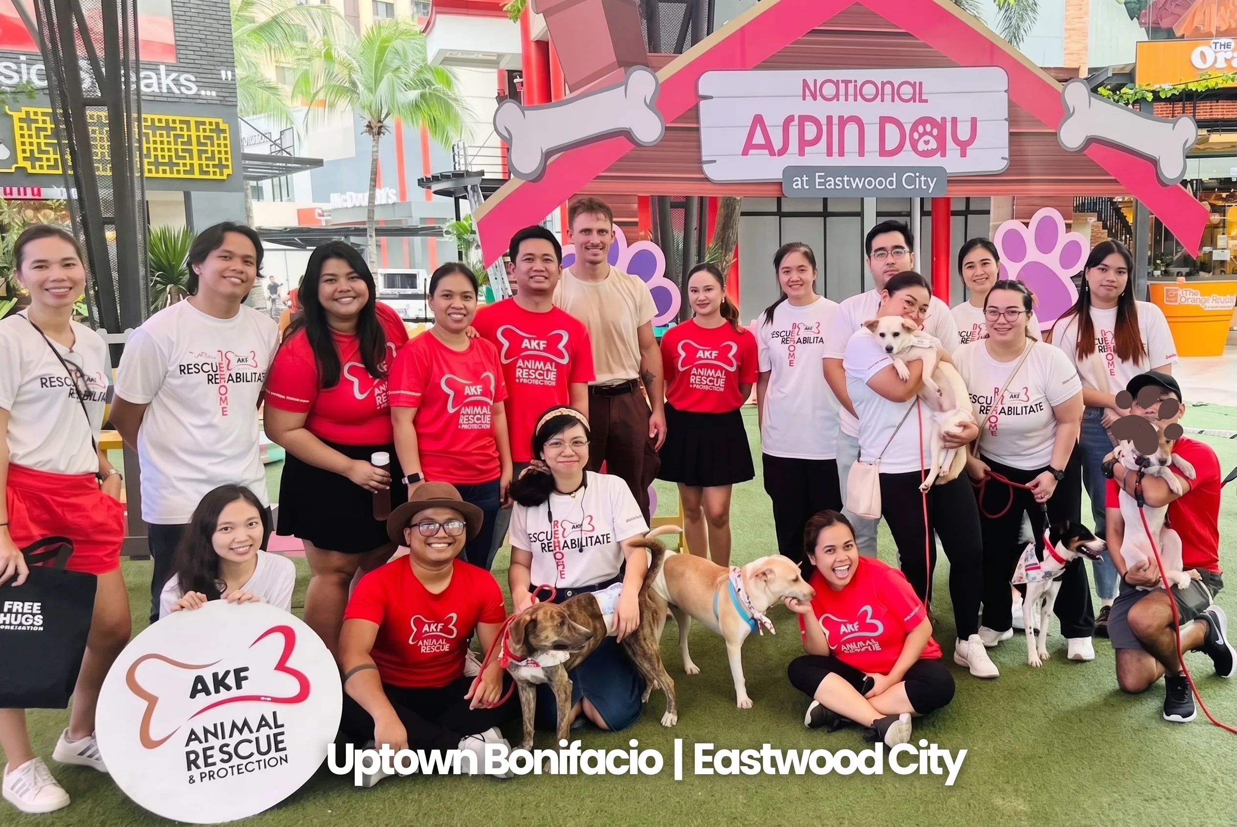 Aspin to the City: Celebrating Filipino Dogs Through Pet-Friendly Urban Tourism