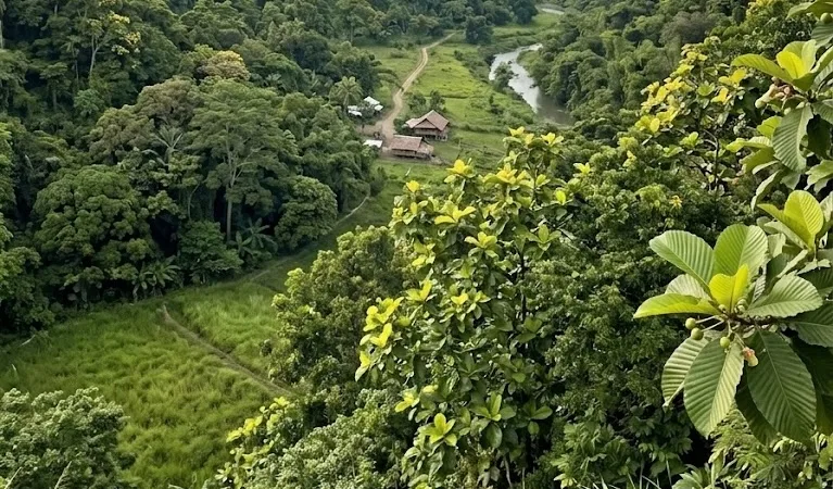 A peaceful greenery in the afternoon.