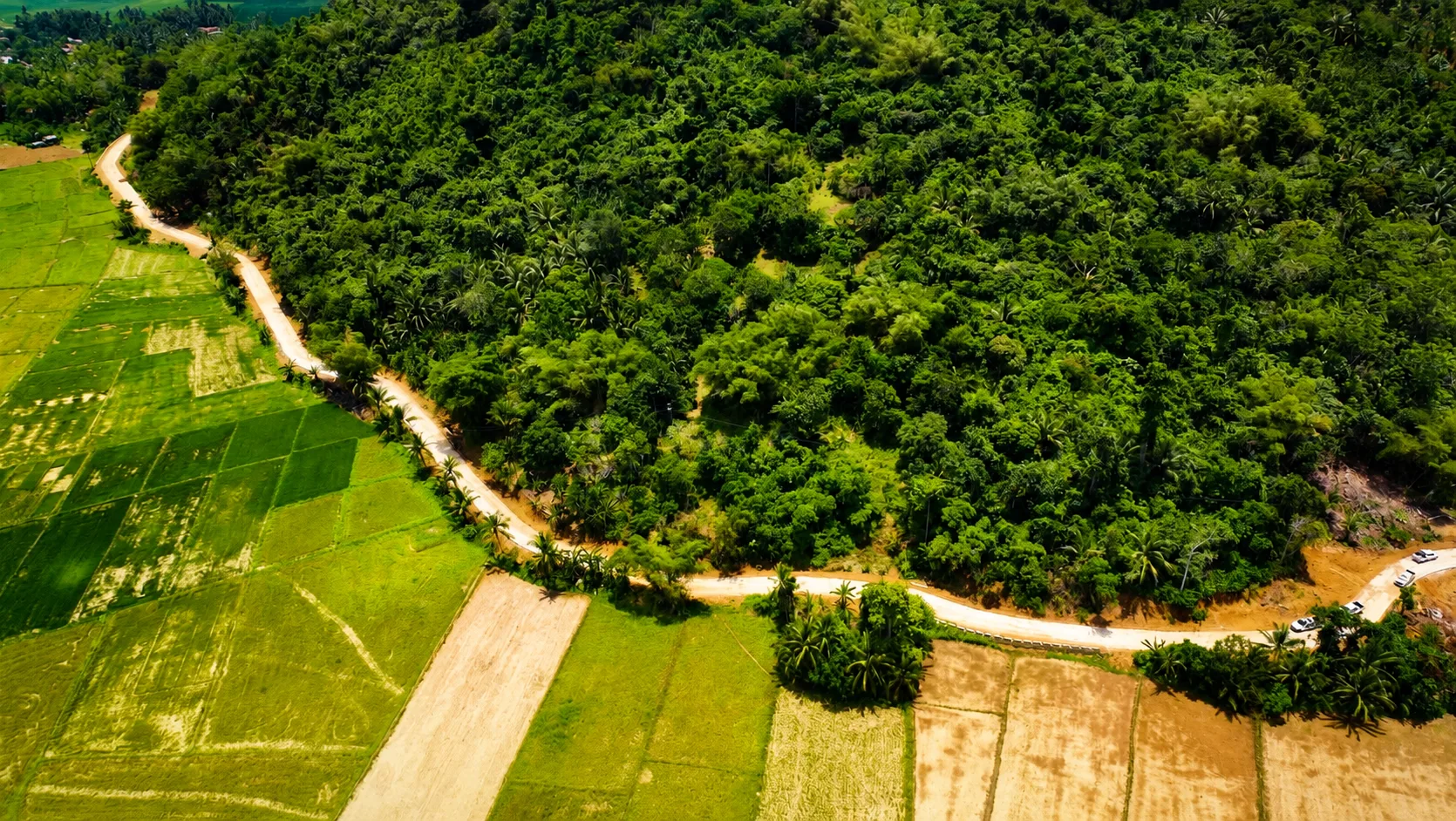 DPWH Completes Phase 1 of Tolosa Farm-to-Market Road Project in Leyte