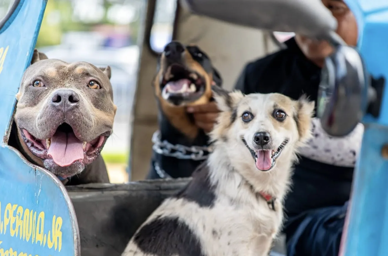 GenSan Starts Its First Animal Welfare Week With a Citywide Call for More Responsible Pet Care
