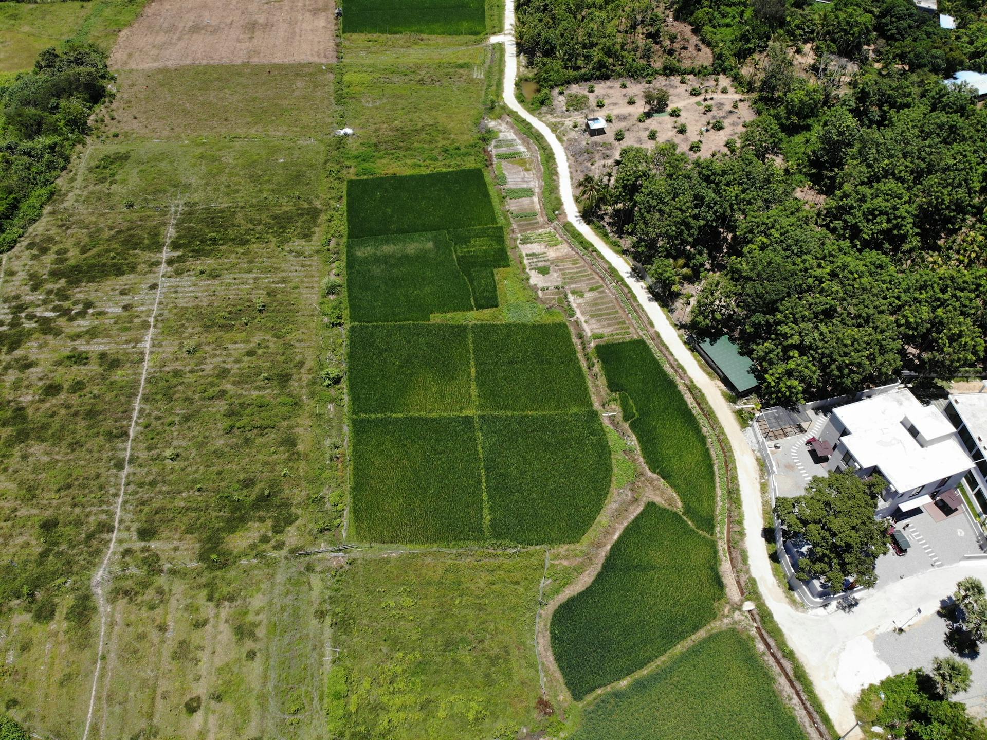 From Vertical Ambitions to Hospitality Firsts: Primeworld Land Charts a Bold 2026