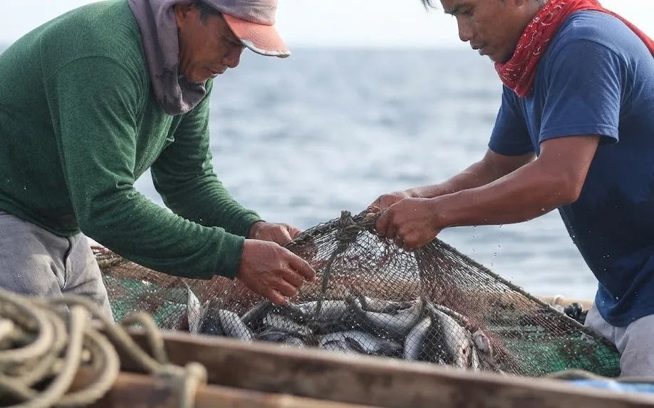 SOX Bloggers Put Fisherfolk Wellness First With PADAYON Campaign