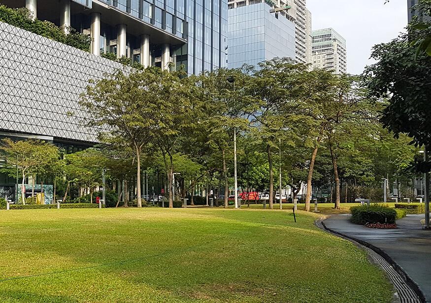 Burgos Circle Park in BGC serves as a lively social and leisure hub