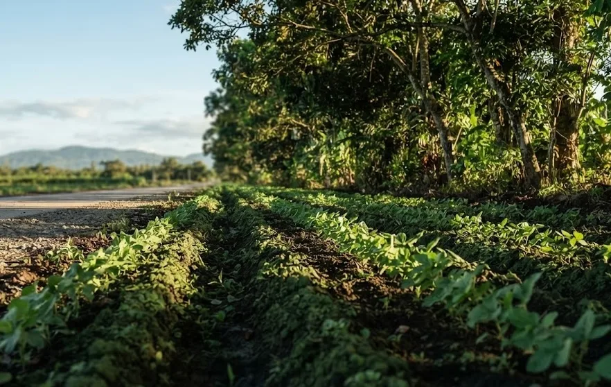 A publicly own land used for farming.