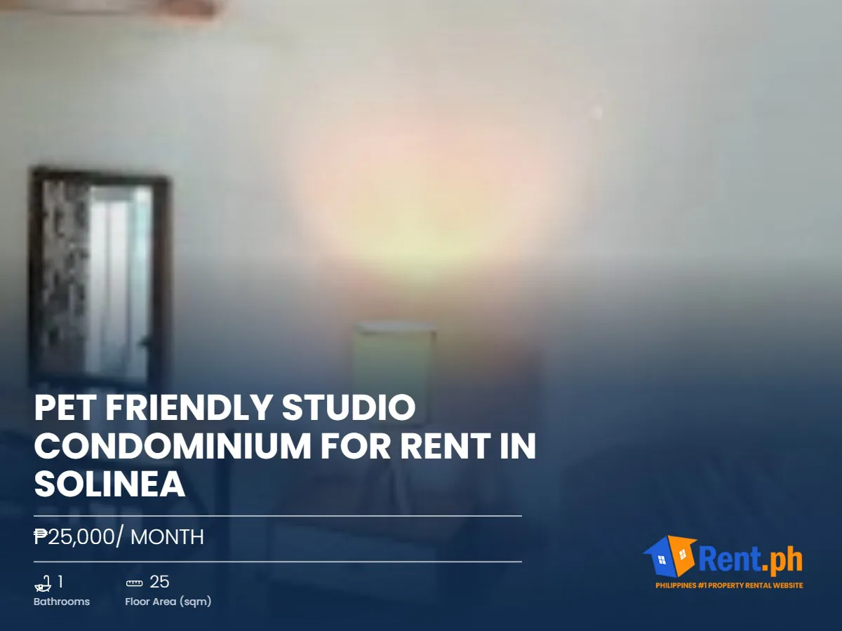 Pet Friendly Studio Condominium For Rent in Solinea