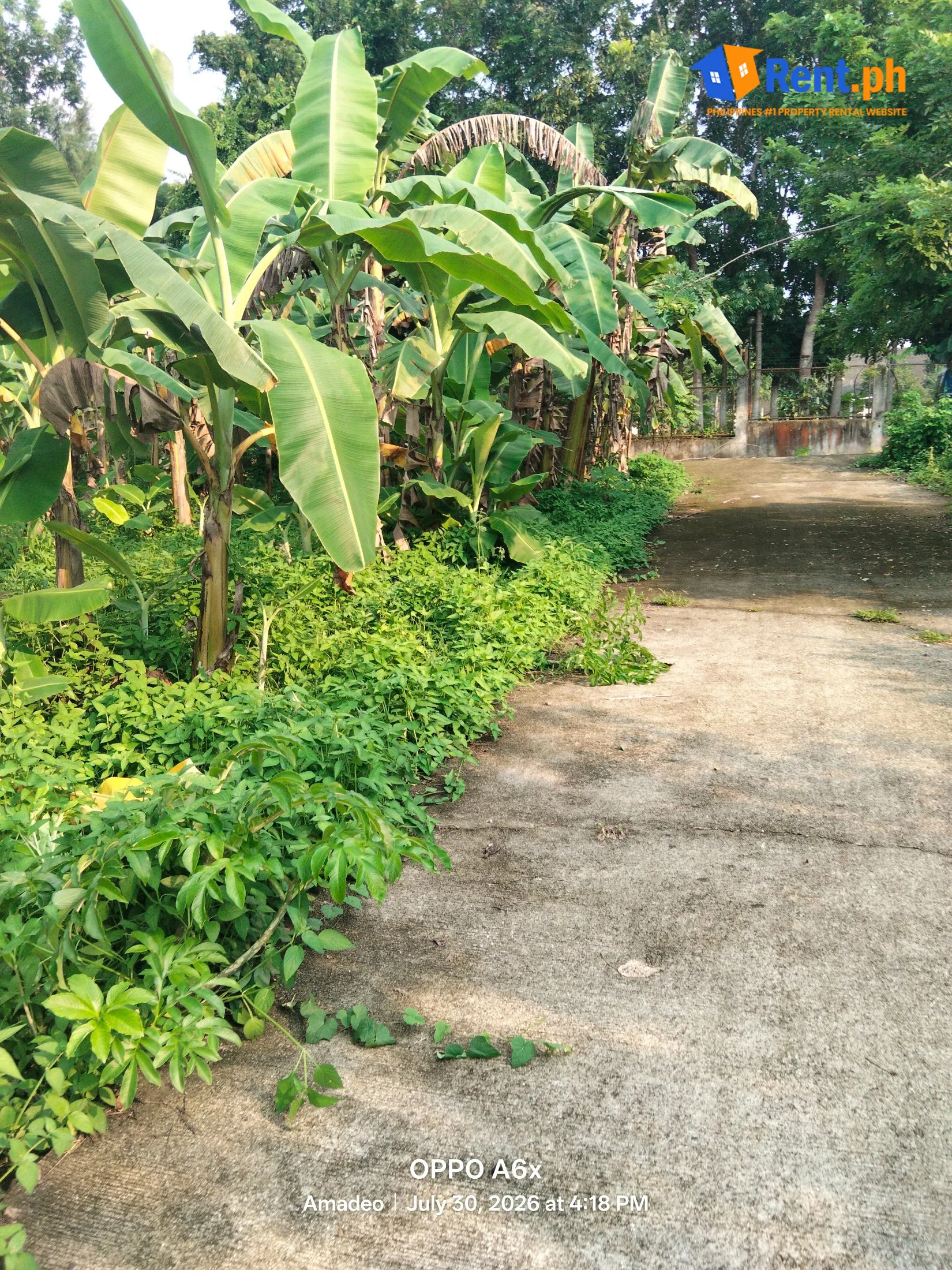 Spacious 1500sqm Lot For Rent in Silang Cavite near Aguinaldo Highway - Secondary Image
