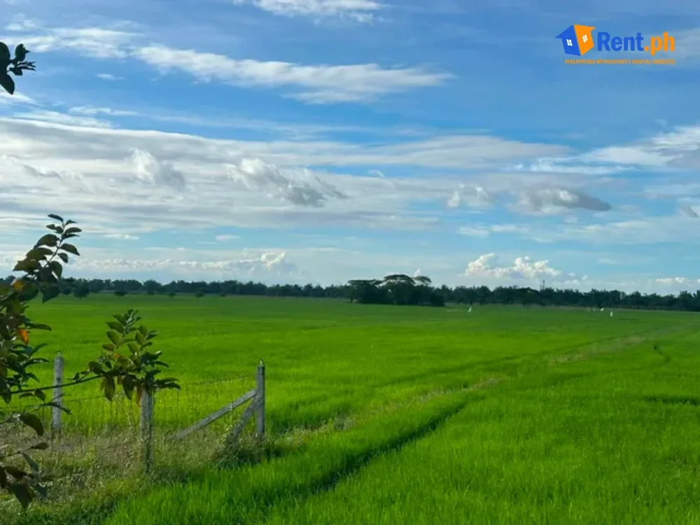 AGRICULTURAL/SOLAR FARM LAND FOR RENT - Secondary Image
