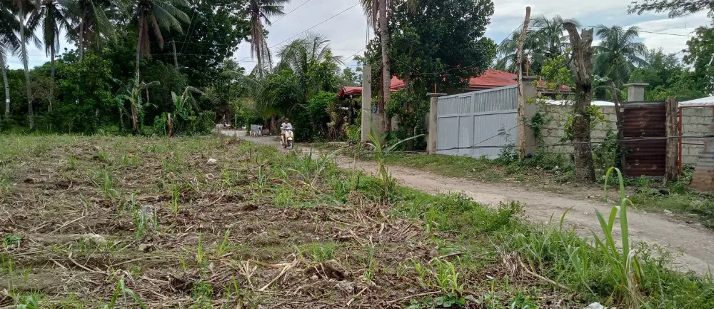 Property Prime View