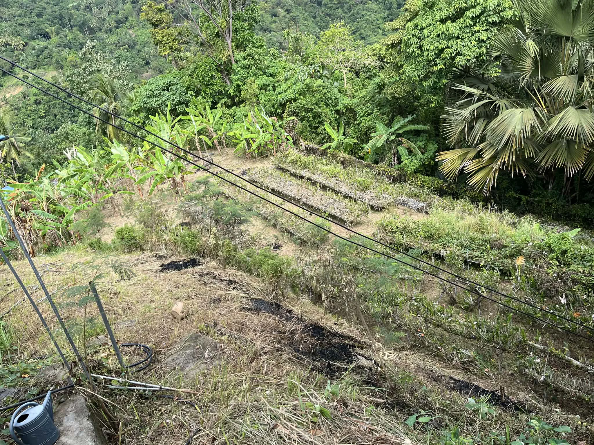 agricultural-lot-for-rent