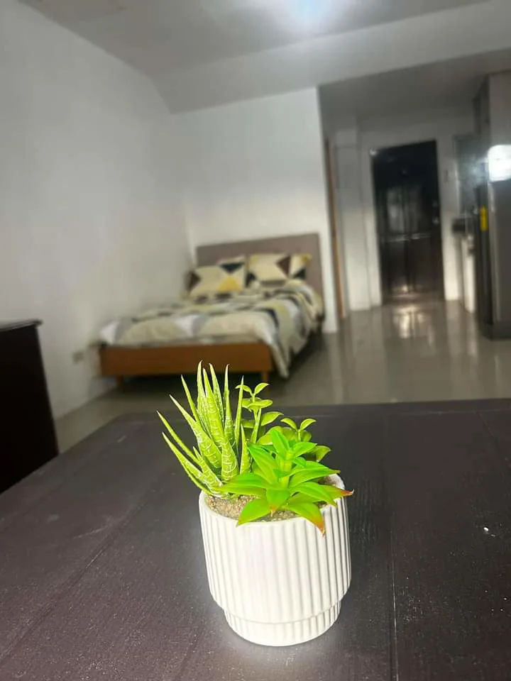 Property Prime View