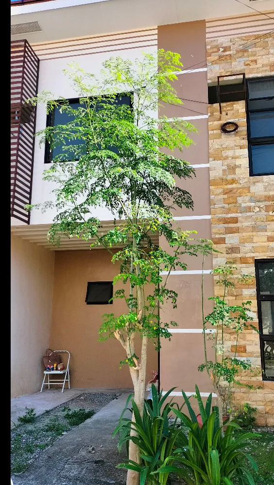 2storey-townhouse-for-rent-for-rent