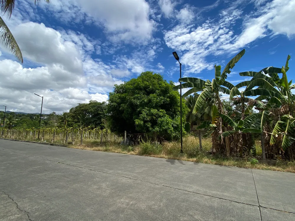 Property Prime View