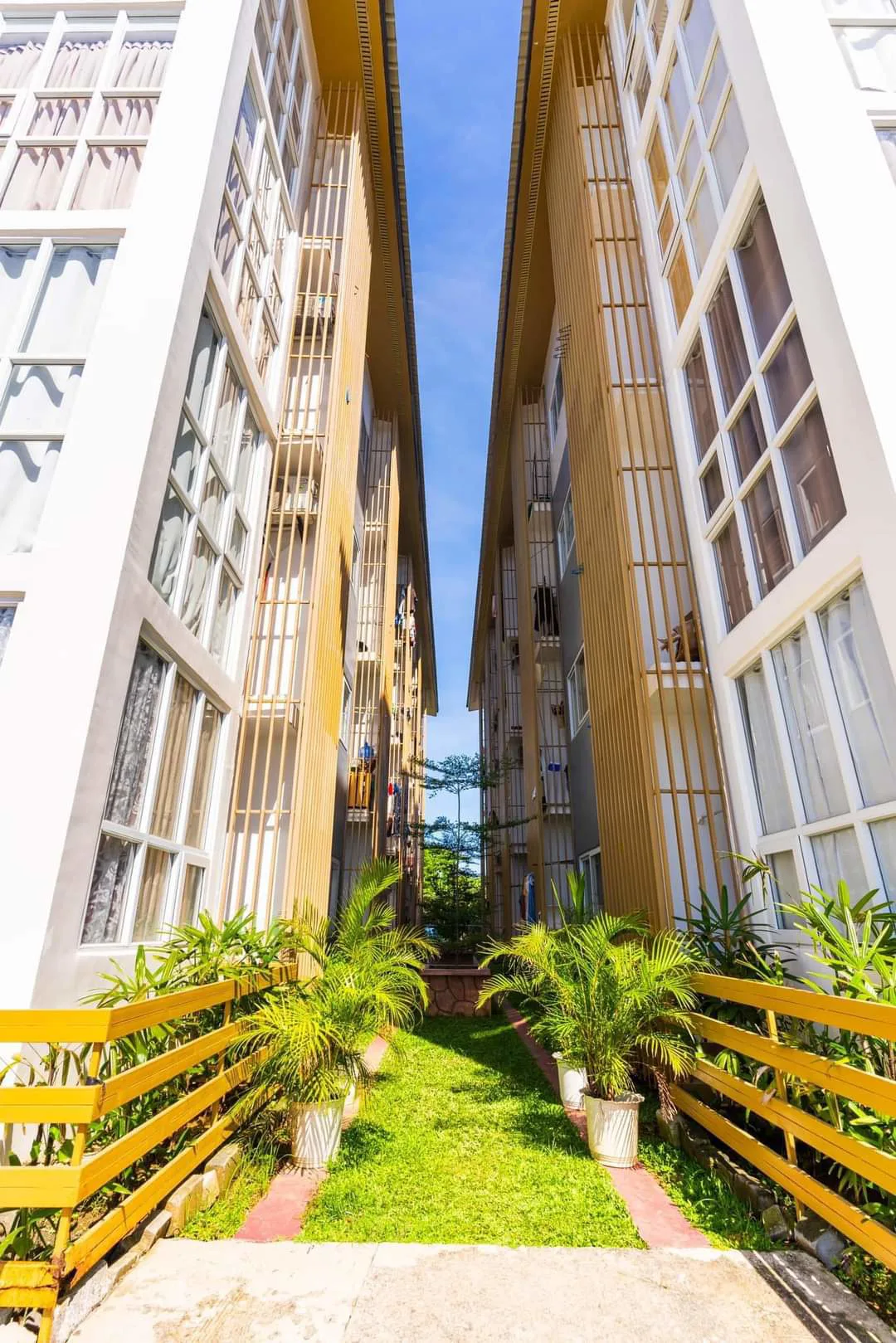 Property Prime View