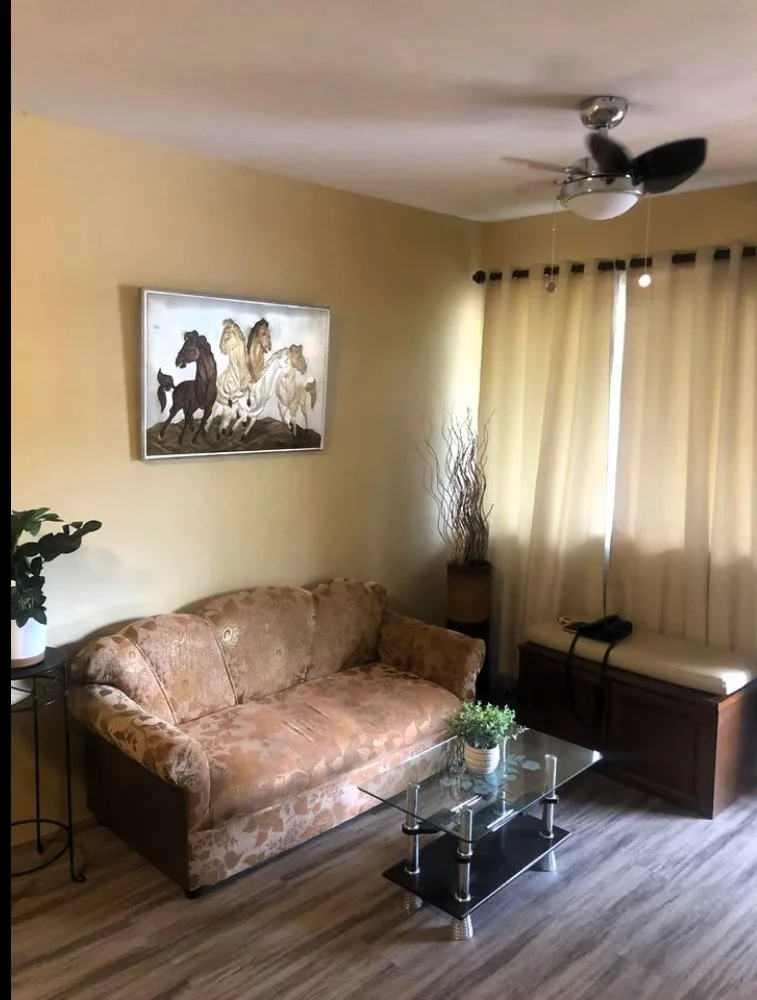 Property Prime View