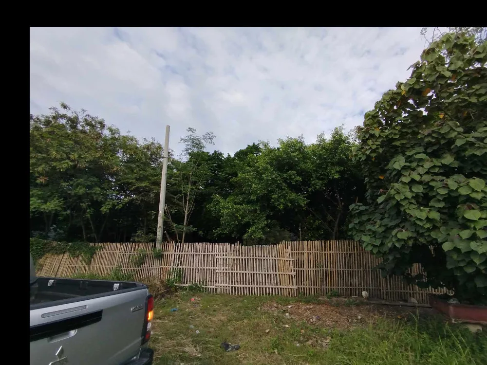 Property Prime View