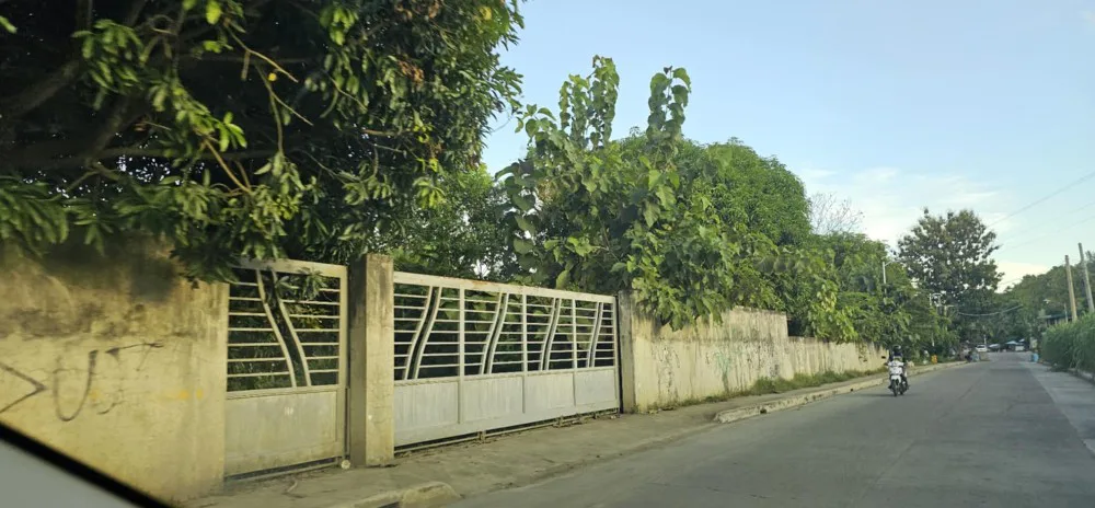 Property Prime View