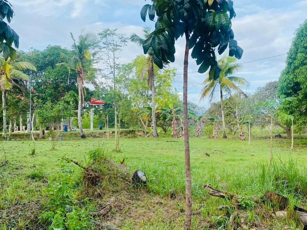 Property Prime View