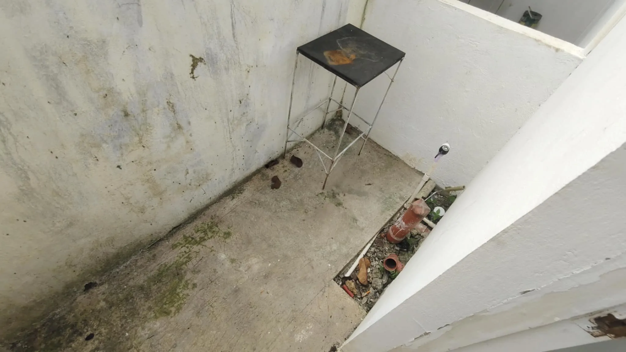 affordable-apartment-for-rent-in-toledo-city-only-3500month-for-rent