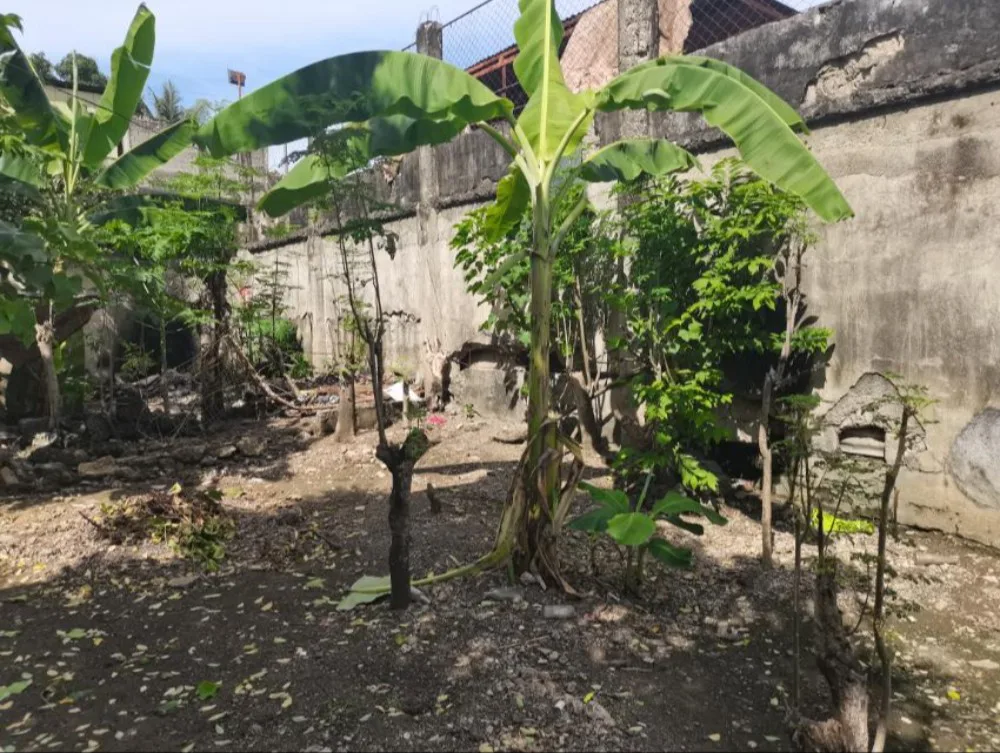 Property Prime View